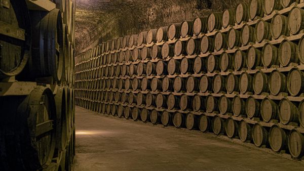 Numerous wine casks being stored at Verum winemakers in Tomelloso, La Mancha.