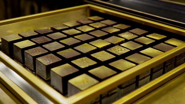 A golden tray filled with rows of square, dark and gold-dusted chocolates.