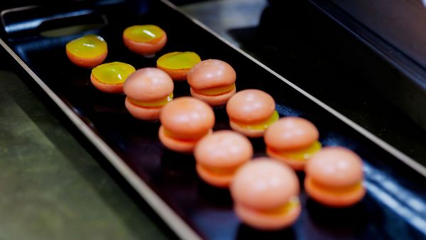 A black tray with rows of small, round, orange and yellow desserts.