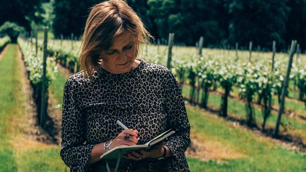 Sarah Abbott, Master of Wine, escreve notas sobre os vinhos na Simpsons Vineyard, em Kent, Inglaterra