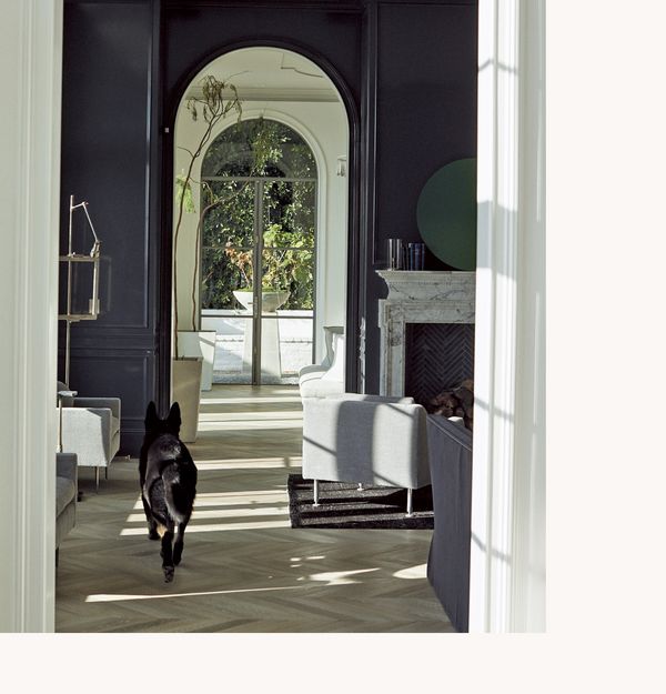 Windsor Smith’s dog walks through her house