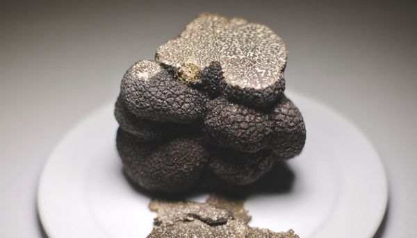 Image of a sliced truffle on a plate