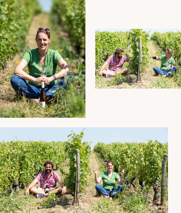 Collage of images from Domaine Lise et Bertrand Jousset 