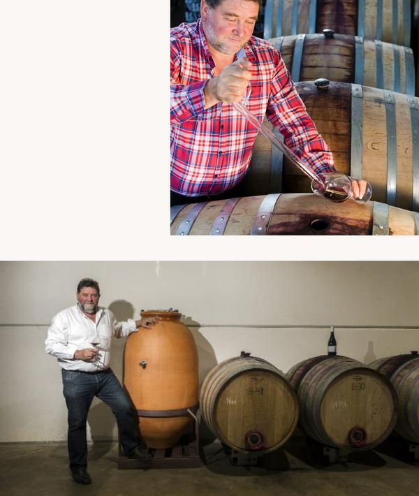 Juan Carlos Sancha酿造葡萄酒时的拼贴照片