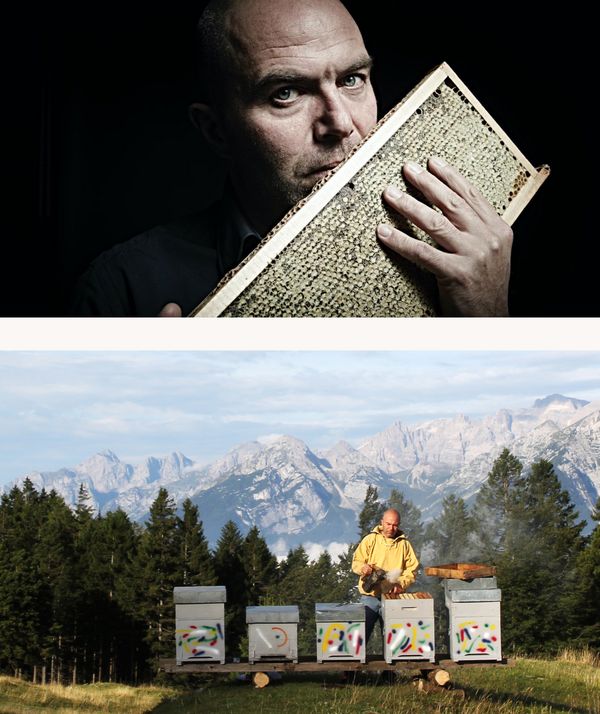 Collage of Andrea Paternoster and his beehives