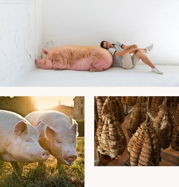 Collage aus Schweinen und Bildern von Salumi Bettella