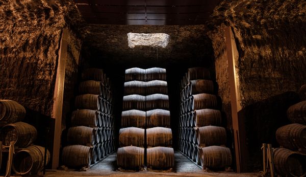 Image of wine cellar with oak barrels