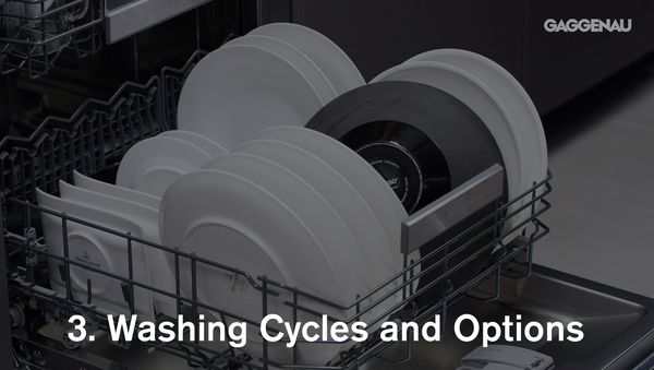 Gaggenau dishwasher 200 series - washing cycles and options 