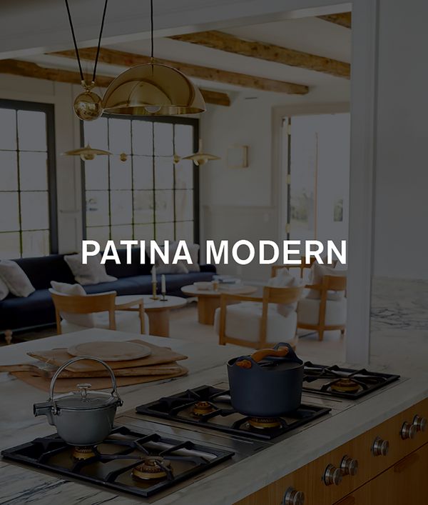 A kitchen designed by Patina Modern. 