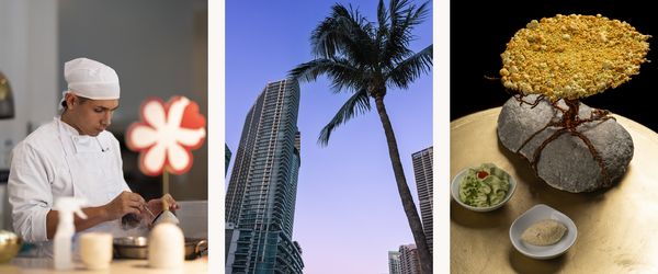 Collage featuring: an assistant chef preparing dishes, the Miami skyline at dusk, and the dramatic "Tree of Life" dish.