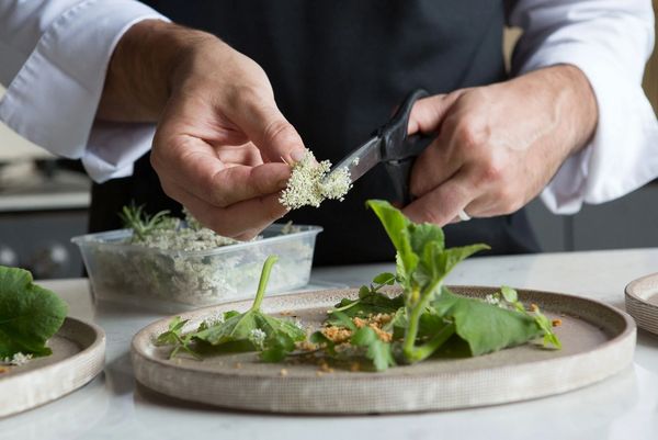 Close-up of Chef Romuald Oudeyer preparing the garnish on a dish