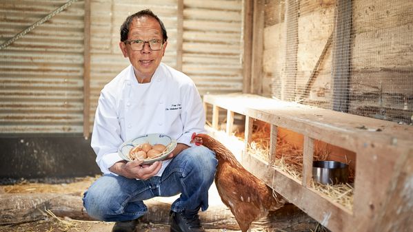 Portrait of chef Tony Tan picking fresh eggs from his chicken coop