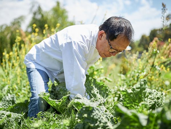 Portrait of chef Tony Tan picking fresh vegetables from his garden