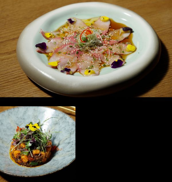 Collage of beautiful plated dishes served during the Gaggenau Limitless Imagination evening at the Theatre of Digital Arts in Dubai  