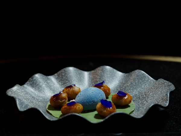 Stunning dish of food served during the Gaggenau Limitless Imagination evening at the Theatre of Digital Arts in Dubai  