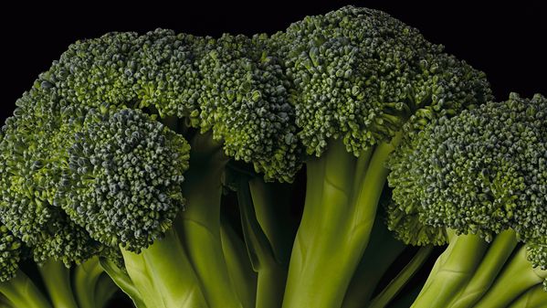 Close-up image of broccoli