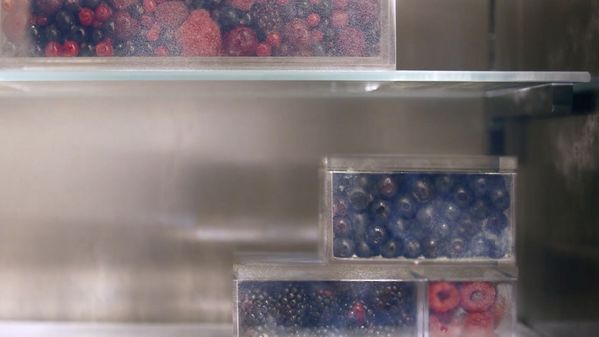 A selection of berries stored neatly in a Gaggenau fridge/freezer