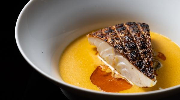 One of Frevo's signature dishes, artfully presented in a pool of rich golden sauce. 