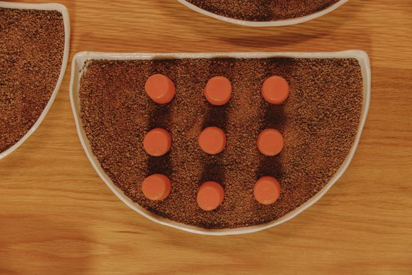 An overhead view of orange desserts on a bed of crumbs.