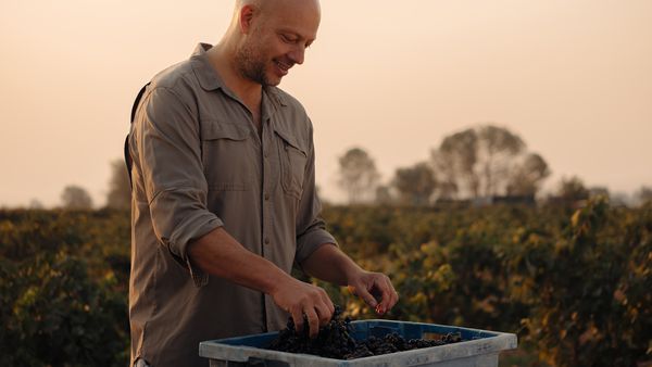 三位葡萄酒專家，包括「葡萄酒大師」康斯坦丁&middot;鮑姆 (Konstantin Baum) 以及來自Verum酒莊的埃利亞斯&middot;洛佩斯&middot;蒙特羅 (Elias Lopez Montero)，共同探討Vario Expressive系列溫控酒櫃。