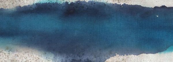 Composizione degli artisti TTOZOI con materiali organici, acqua e pigmenti naturali