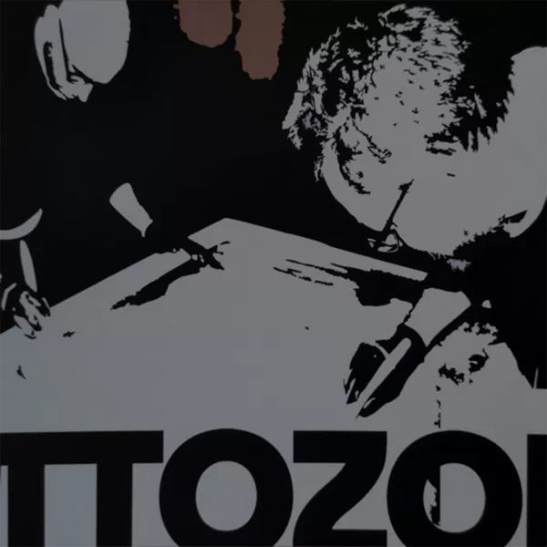 Immagine biografica degli artisti TTOZOI