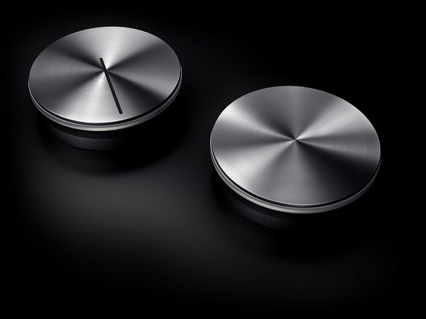 two-stainless-steel-knobs