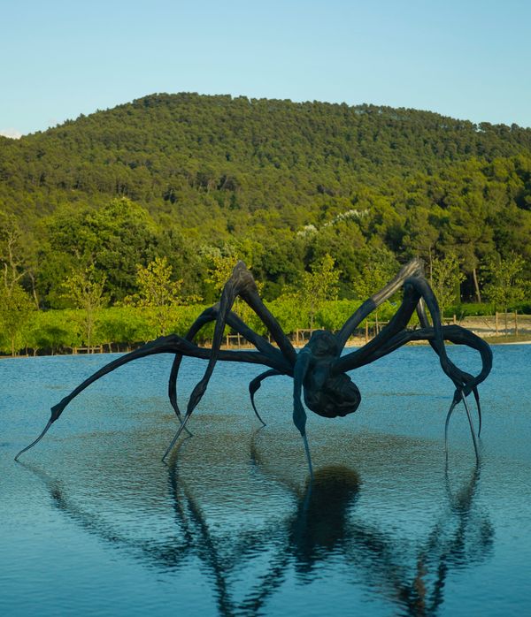 louise bourgeois crouching spider item and fine wine in Provence