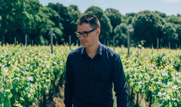 A sommelier’s perfect day of viniculture.